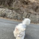 멍이곳간 Daum카페