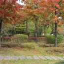 마곡나루에서 (유톤) 이미지