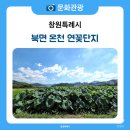 천주로1184번길 이미지