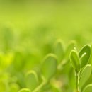 파이브 티스토리