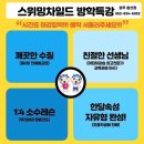 스위밍차일드 이미지