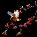 화려 - 서구 화운로 102 | 화려