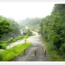 충북알프스자연휴양림 이미지