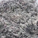 동일건재 이미지