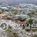 천지PC 이미지