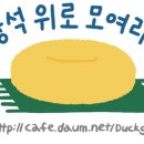 김채현 1위…'걸스플래닛' 9인조 걸그룹 '케플러' 결성 이미지