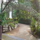 서양화(유화&수채화데생) 이미지