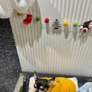 크로스핏레이크 이미지