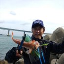 해수피아 이미지