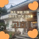 6566 | 제주애월카페 추천 | 고효 제주도한옥카페 방문후기