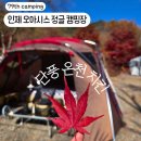 A7 | 별이 쏟아지는 &#39;인제 오아시스 정글&#39; 애견동반 단풍캠 A7 후기 ft.필례온천과 들락치킨