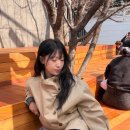 승희슈퍼 | 잠실새내 무드영헤어에서 봄맞이 염색 후기