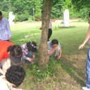 사선대야영장 이미지