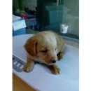 댕글벙글 이미지