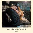 리니수15