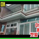 사파동245 이미지