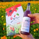 거창-거창-5 이미지