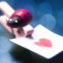 백의민족 이미지