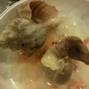 조개까는 세상 이미지