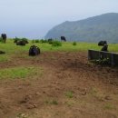 남국목장 이미지