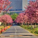 미사경정공원 이미지