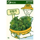 씨앗 - 남양주시 덕소로116번길 11 | 씨앗