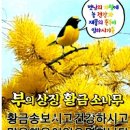 요즘 속담ㅡ이렇게 변해가고 있다네요 ㅡ젊어서 고생은 늙어서신경통이다.ㅡ윗물이 맑아야 세수하기 좋다. 이미지