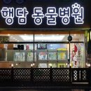 어썸펫 동물병원 이미지