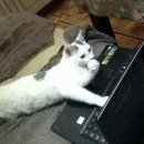 i PC U 이미지