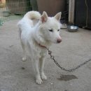 백순농장 이미지