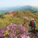 철쭉 명산 중부 10선 (6~10) 출처: 월간 산 (22년 5월) 이미지