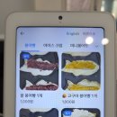 ⭐ [오송 간식] 엣찌랑붕어빵 — 팥·슈크림·고구마 다 맛있는 웨이팅 붕어빵 맛집!