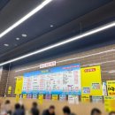 착한막회 티스토리
