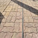 진천 숭열사 진입로 가로수 | 보도블럭 재정비 인도 블록 보수