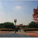 황새울공원 이미지