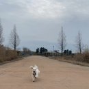 1947익산펜션2 이미지