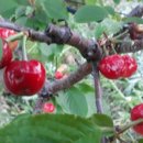 성숙농장 이미지