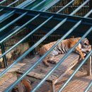 진양호공원(동물원) 이미지