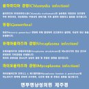 맨투맨남성의원 이미지