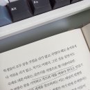 행복을 꿈꾸는 초등 정원사의 그림책 | 김영하의 인생 사용법 《단 한 번의 삶》, 에세이, 책리뷰