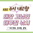 6시내고향 | 6시 내고향 태안 고남면 해루질·낚시 체험 현장 후기 (5월12일 KBS1 8279회)