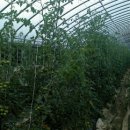 달이농장 이미지