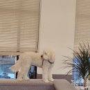 오복주유소 이미지