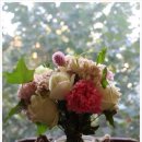 현대스프링 이미지