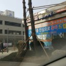 진전기조명