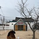 카페후프