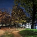 신안평거녹지 이미지