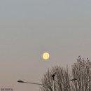 서가앤쿡 안산중앙점 이미지