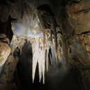 뽑아가즈아 이미지