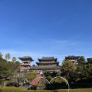 나무랑 풀이랑 | 제주도 절 제주 약천사 재방문 해서 삼재풀이 한 후기
